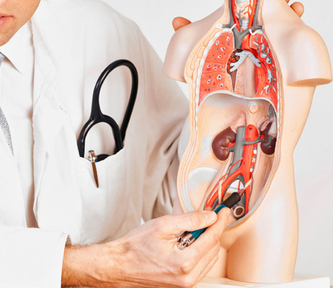 Urology department